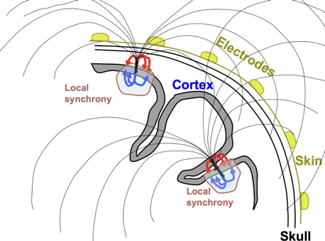 EEG combination